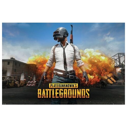 Плакат PlayerUnknowns Battlegrounds: Playerunknown (№191)