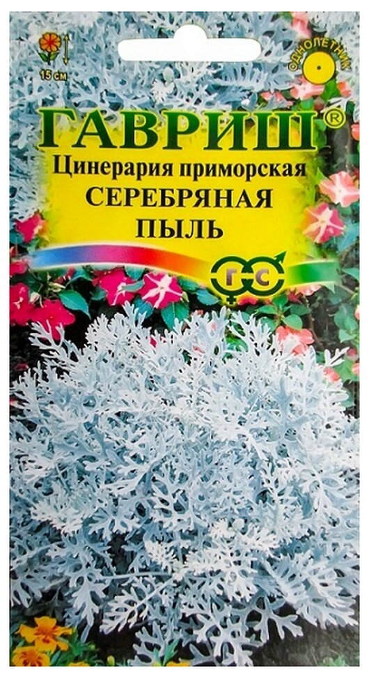 Семена Гавриш цинерария приморская Серебряная пыль 01 г
