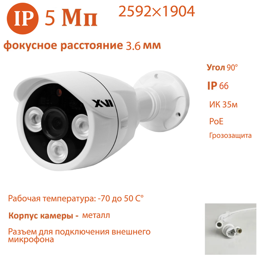 IP камера XVI EI5316CPG (3.6мм), 5Мп, PoE, грозозащита, ИК подсветка, видеоаналитика, вход для микрофона, уличная камера для видеонаблюдения