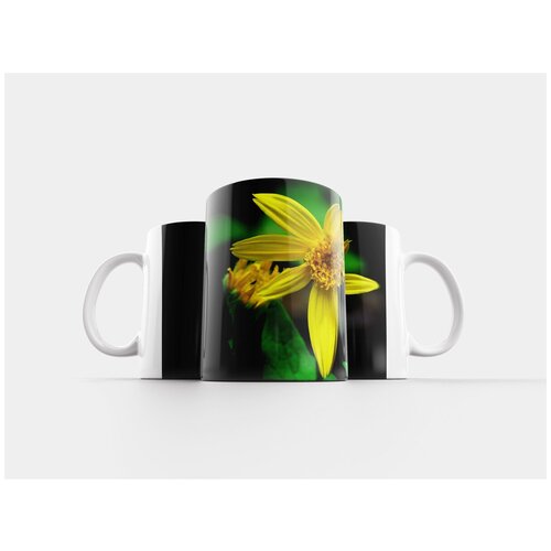 фото Кружка "цветок, желтый, дикий" 320 мл lotsprints