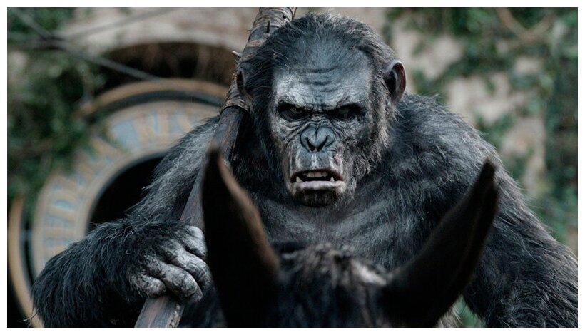 Планета обезьян: Восстание / Революция Blu-ray 20th Century Fox - фото №9