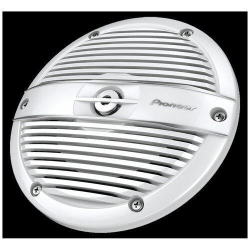 Pioneer TS-ME650FC 1529000₽