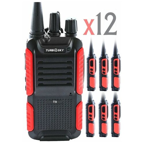 Портативная рация TurboSky T9X12 4668000₽