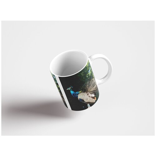 фото Кружка "pavo cristatus, павлин, выставляет напоказ" 320 мл lotsprints