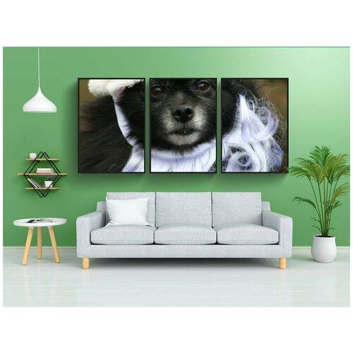 фото Набор модулных постеров для интерьера "собака, санта, домашний питомец" 60x90 см. в тубусе, без рамки lotsprints