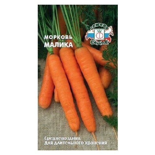 Семена Морковь Малика 2г для дачи, сада, огорода, теплицы / рассады в домашних условиях семена морковь шантанэ роял драже для дачи сада огорода теплицы рассады в домашних условиях