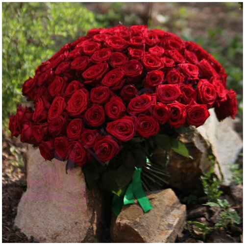 Букет цветов живые 101 красная роза Ред Наоми 40 см