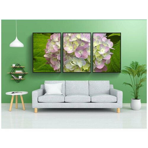 фото Набор модулных постеров для интерьера "гортензия, цветок, сад" 60x90 см. в тубусе, без рамки lotsprints