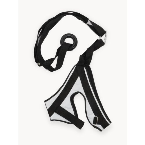 Петля Глиссона с креплением на дверь и турник