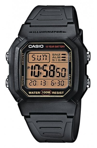 Наручные часы CASIO W-800HG-9A