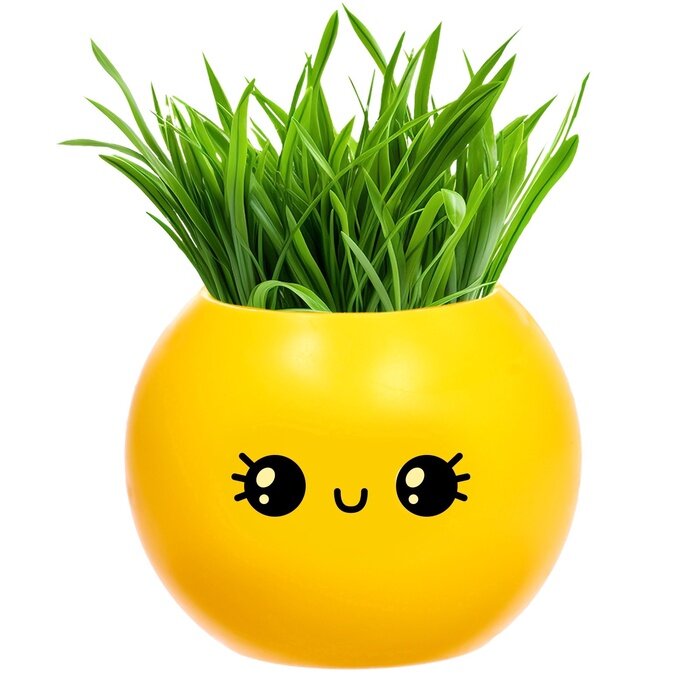 Набор для опытов Эврики "Выращиваем травку", растение в горшочке, эмодзи "Милый"