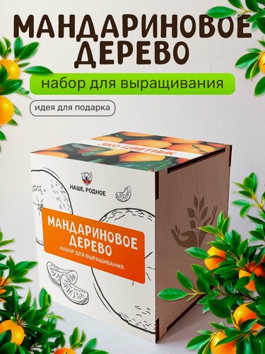 Изображение товара Набор для выращивания растений Сад на окне "Мандариновое дерево", в деревянном горшочке