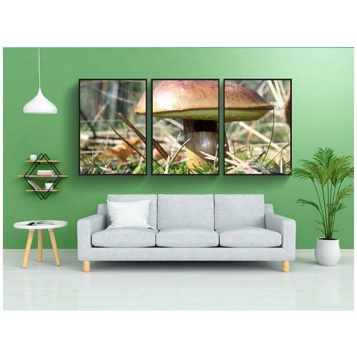 фото Набор модулных постеров для интерьера "коричневый гнедой подберезовик, грибы съедобные, черный ребенок" 60x90 см. в тубусе, без рамки lotsprints