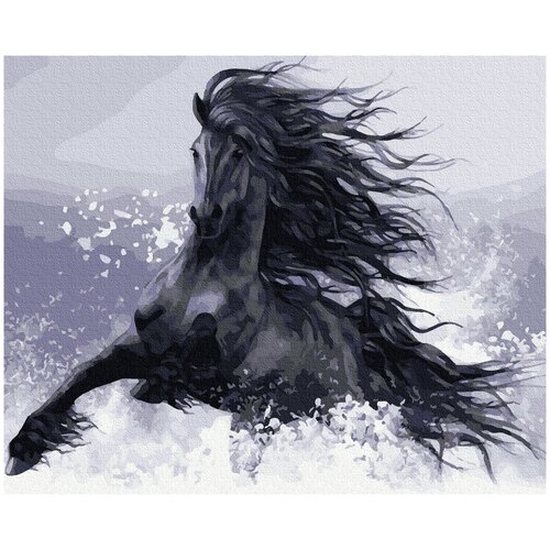Картина по номерам Конь вороной, 40x50 см. Molly картина по номерам 40 × 50 см конь вороной 9 цветов