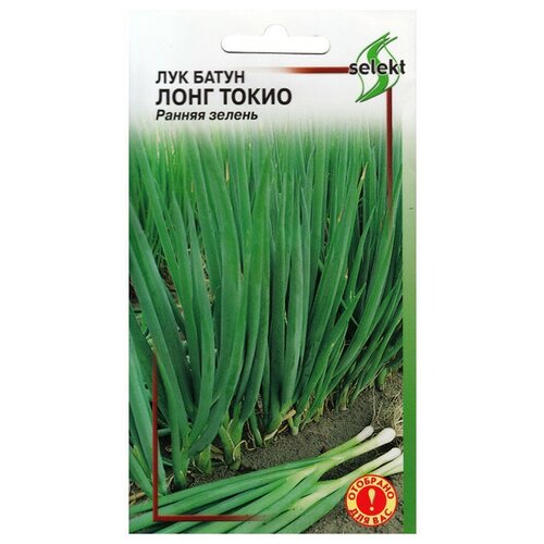 Семена Лук батун Лонг Токио 80шт для дачи, сада, огорода, теплицы / рассады в домашних условиях семена лук батун лонг токио