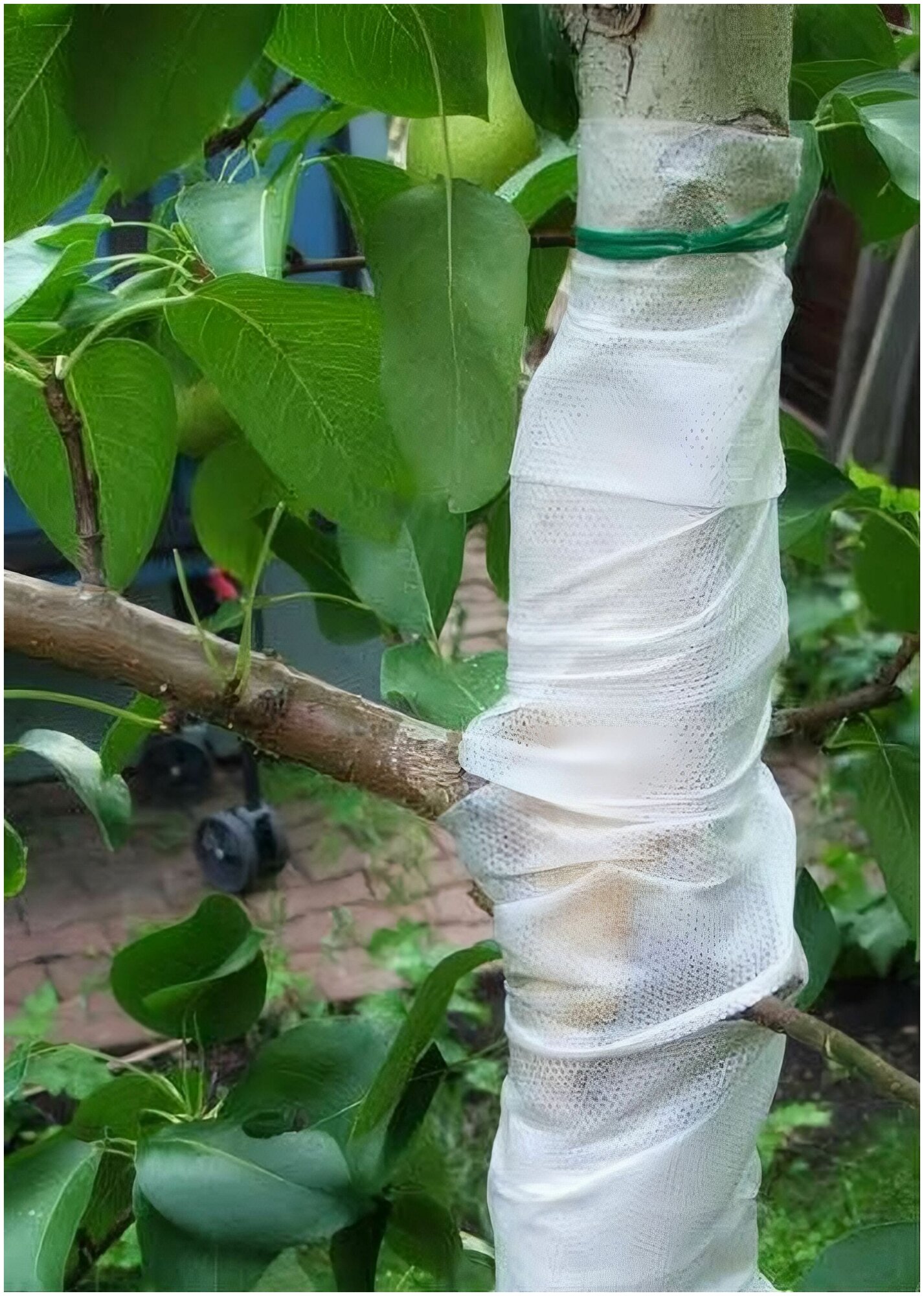 Садовый бинт-спанбонд для деревьев размер 14 х 10 м белый Предотвратит поломку ветвей от ветра и тяжести снега