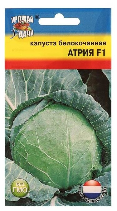 Семена Капуста белокочаная "Атрия", F1, 0,05 гр 6481861