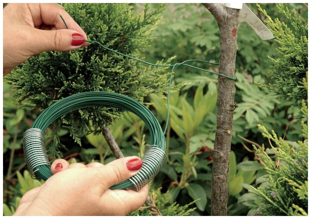Проволока обвязочная для растений floraworld, зеленое покрытие, длина 26 м, диаметр 1,2 мм - фотография № 2