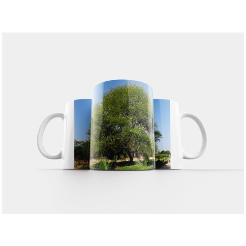 фото Кружка "бабуль, дерево, акация нилотическая" 320 мл lotsprints