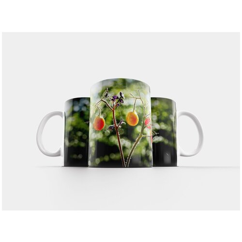 фото Кружка "помидоры, уборка урожая, овощи" 320 мл lotsprints