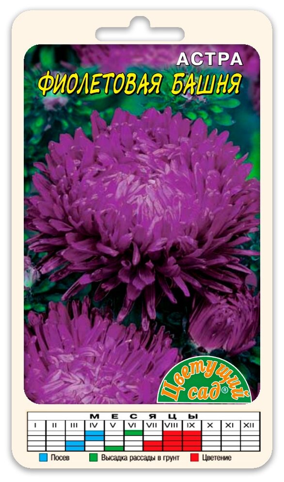 Астра Башня Фиолетовая пионовидная 0,3г Одн 70см (Цвет сад)
