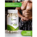 Незаменимые Аминокислоты BCAA 2:1:1/ Комплекс БЦАА в капсулах / БЦА / Рост мышц /Сила и Выносливость - изображение
