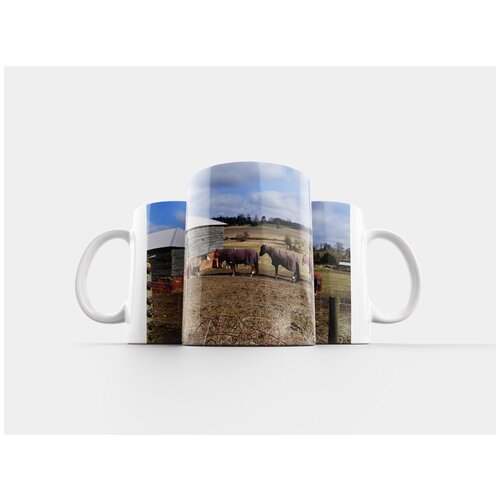 фото Кружка "лошадь, природа, животное" 320 мл lotsprints