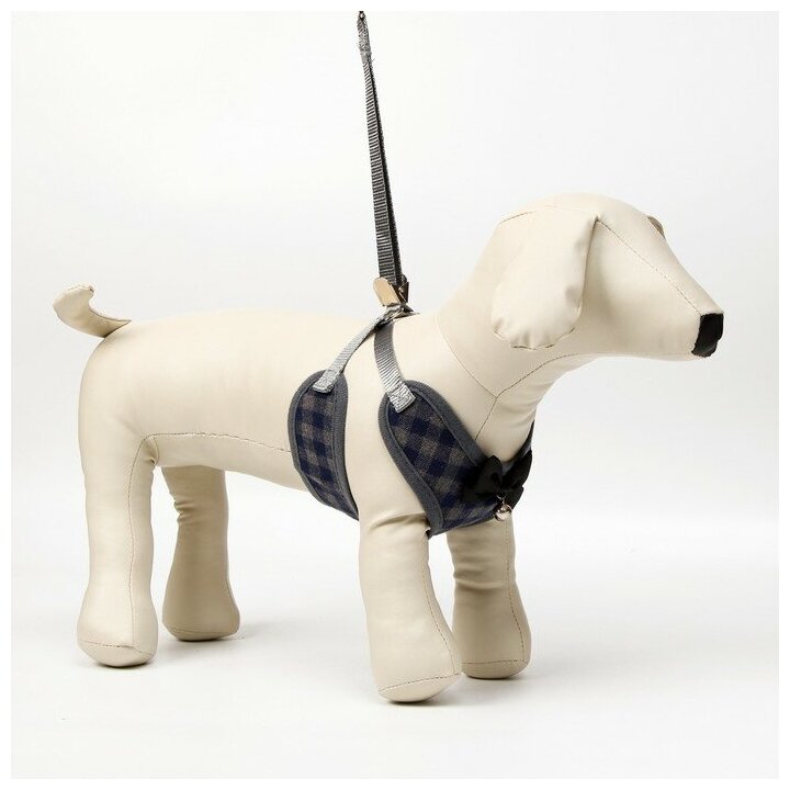 Шлейка для собак Пижон мягкая, с поводком 120 см, размер XL, шея 38-52, грудь 42-60 см, серый - фотография № 1