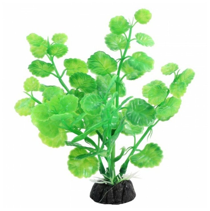 LD1033 Растение аквариумное Щитолистник 100мм зеленая