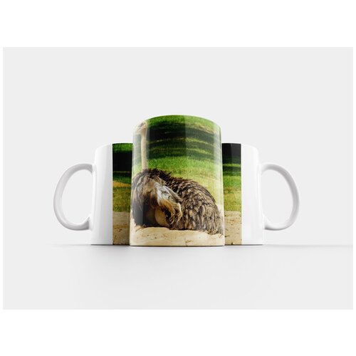 фото Кружка "страус, птица, ратит" 320 мл lotsprints