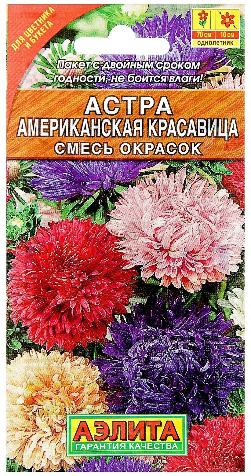 Семена цветов Астра "Американская красавица" смесь окрасок О 02 г