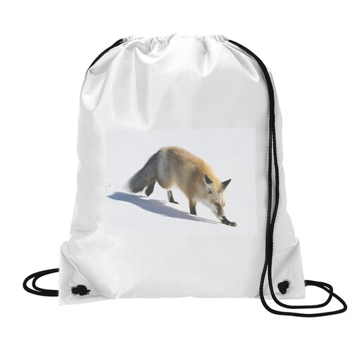 фото Сумка для обуви coolpodarok лиса крадётся