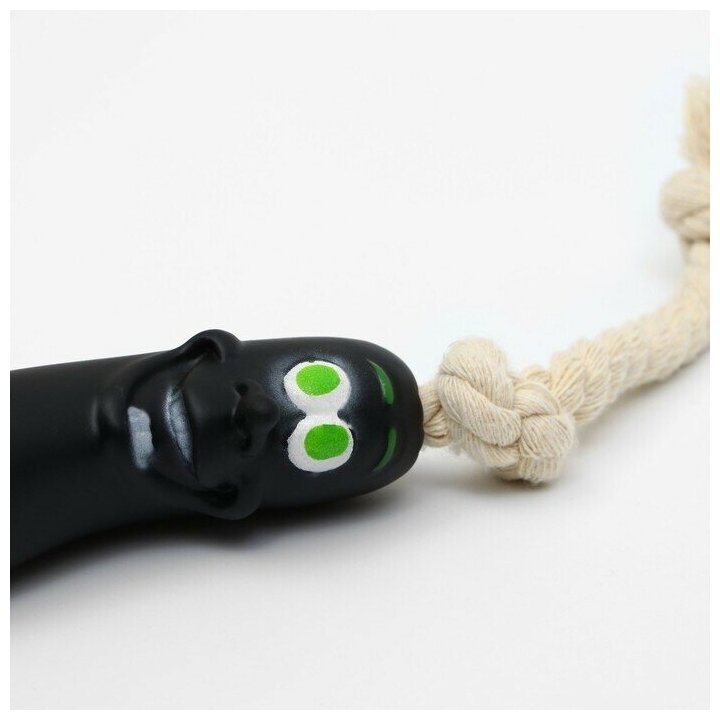 Игрушка "Обугленная сосиска на верёвке" для собак, 14 см, чёрная - фотография № 12