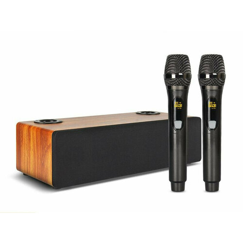 Караоке-система для дома с беспроводными микрофонами MojoPro 130Вт