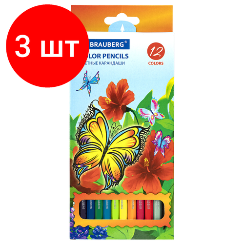 Комплект 3 шт, Карандаши цветные BRAUBERG Wonderful butterfly, 12 цветов, заточенные, картонная упаковка с блестками, 180535
