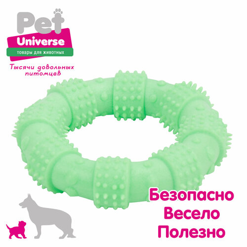 Игрушка для собак Pet Universe многофактурное кольцо с пупырышками 12х3 см, ТПР, зелёный, PU3062GN