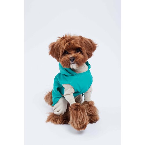 Дождевик бирюзовый - XL