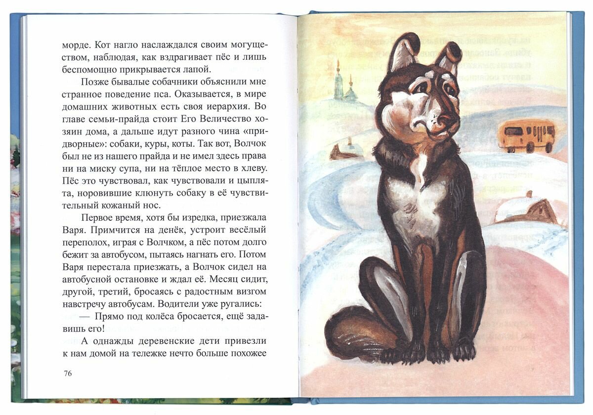 "Коська-Кокос". (Рассказы о животных и не только о них) - фото №4