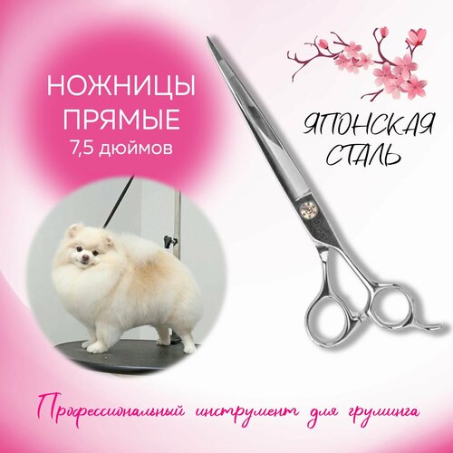 Ножницы прямые для груминга 7,5 дюймов