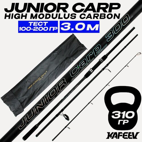 Изображение товара Карповое удилище JUNIOR CARP 300 см быстрый строй, тест 100-200 г