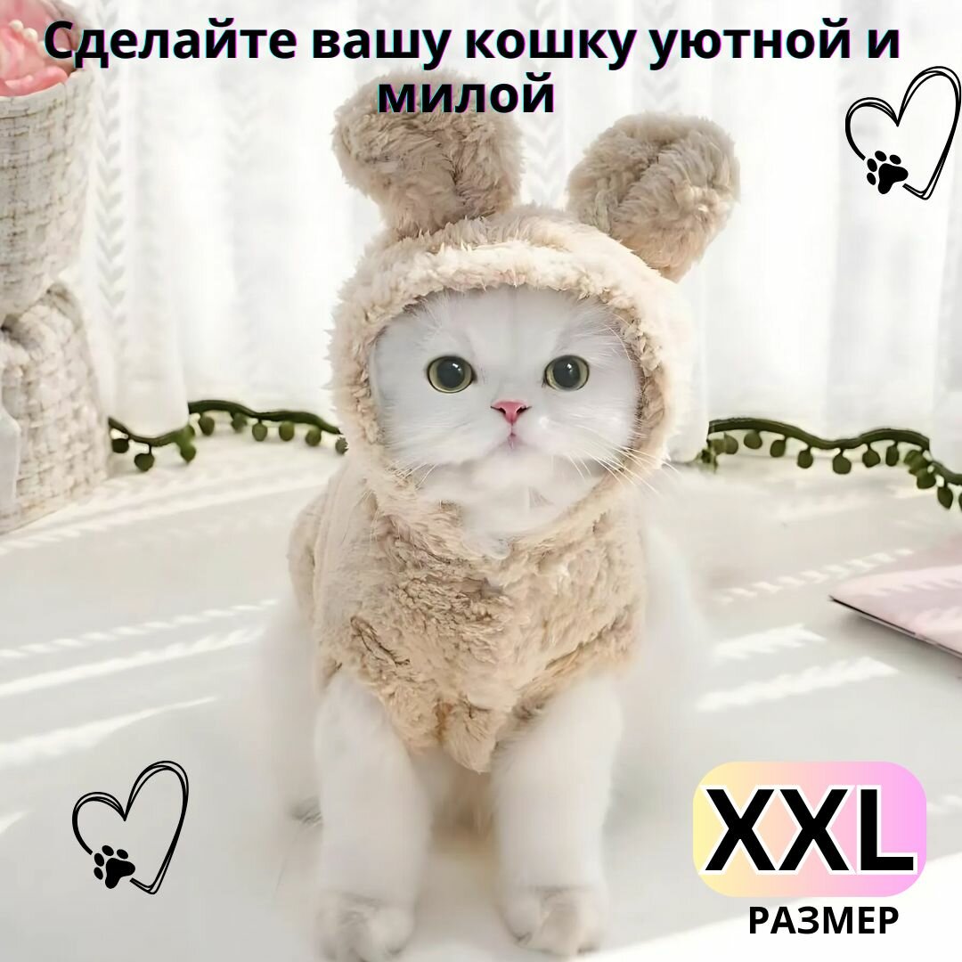 Флисовая осенне-зимняя одежда для собак и кошек, теплые толстовки и куртки для маленьких и средних пород, Размер XXL