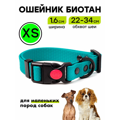 Ошейник из биотана 22-34 см (XS), 16 мм, Woofy "Iron", для маленьких собак, водостойкий, бирюзовый