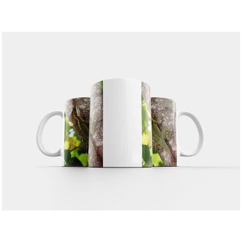 фото Кружка "рептилия, табаско, мексика" 320 мл lotsprints