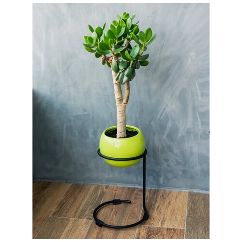 Подставка для цветов ilwi INT-W-PC-1-1-P12 на подоконник на окно металлическая в стиле лофт подарок на день рождения 1490₽