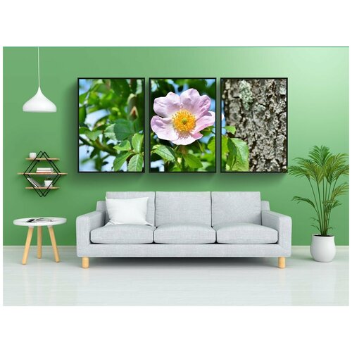 фото Набор модулных постеров для интерьера "анемон, роза, цвести" 60x90 см. в тубусе, без рамки lotsprints