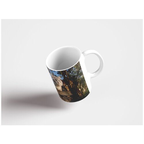 фото Кружка "кот, доска, кот сидит 320 мл. белая" lotsprints