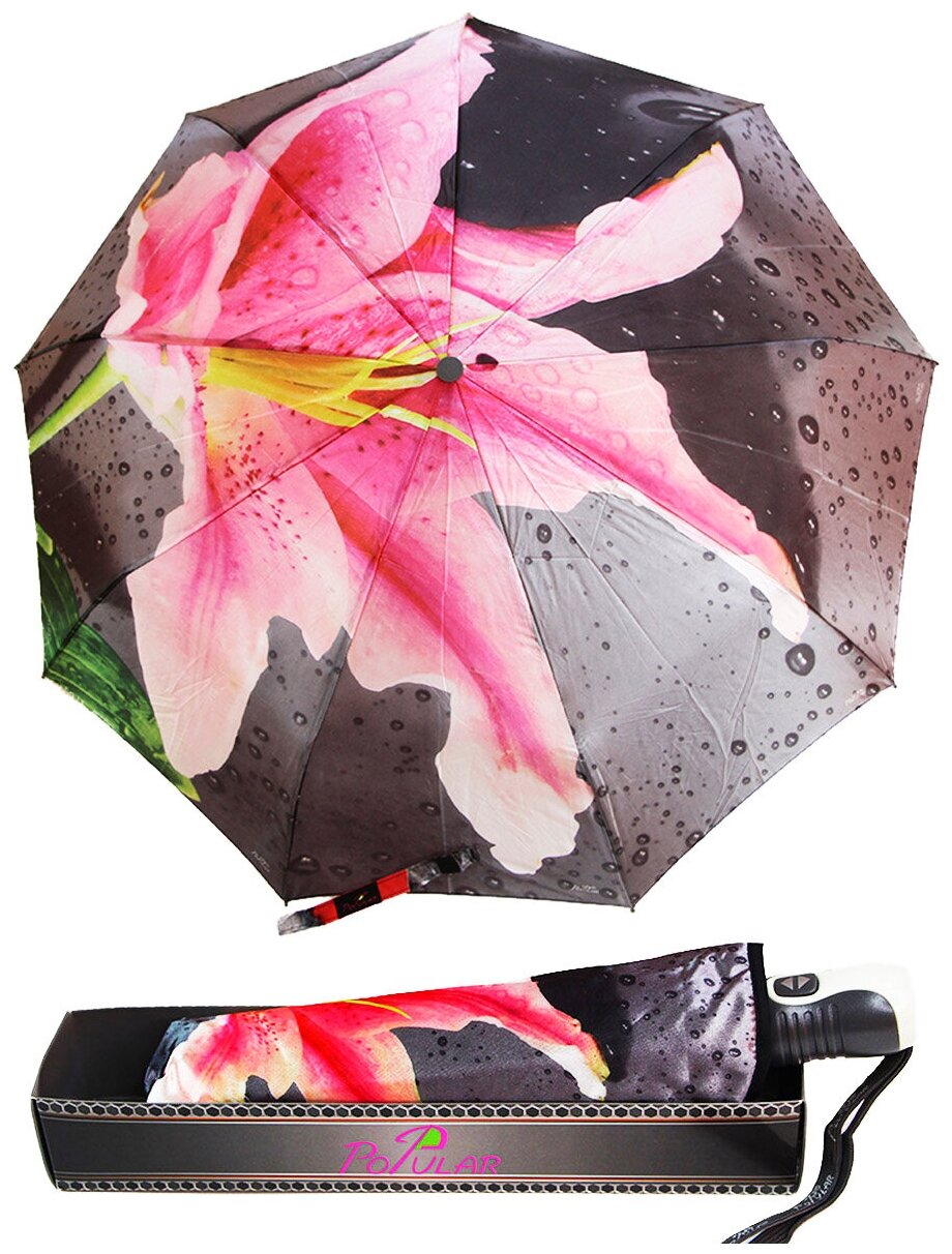    Popular Umbrella 1003/,