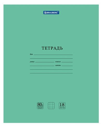 Тетрадь BRAUBERG "EXTRA" 18 л, клетка, плотная бумага 80 г/м2, обложка картон