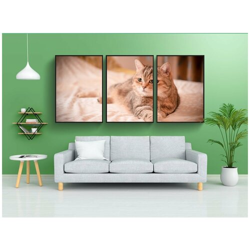 фото Набор модулных постеров для интерьера "домашний питомец, домашнее животное, остроумие" 60x90 см. в тубусе, без рамки lotsprints