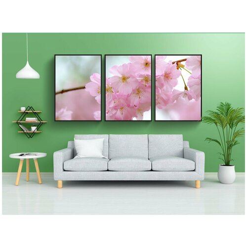 фото Набор модулных постеров для интерьера "вишни в цвету, ветвь, лепестки" 60x90 см. в тубусе, без рамки lotsprints